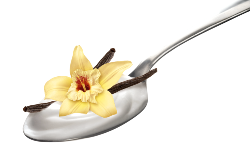 Vanilla Yoghurt • 1 Liter